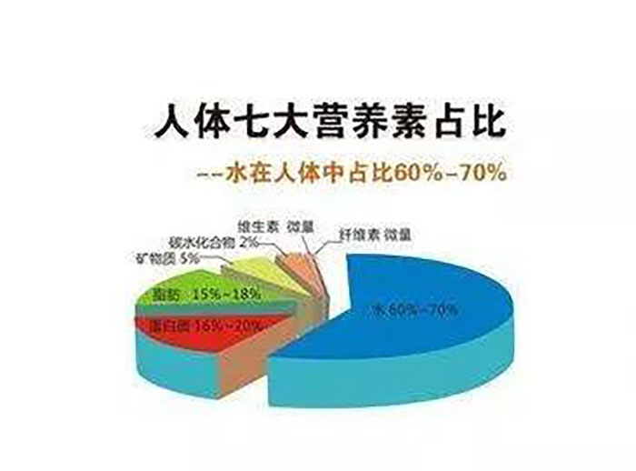 人体缺乏营养素,后果很严重"文明病"的频频出现是与现代生活环境饮食